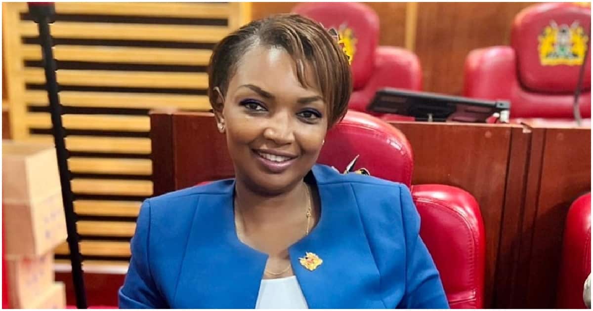 Karen Nyamu Salary and Allowances