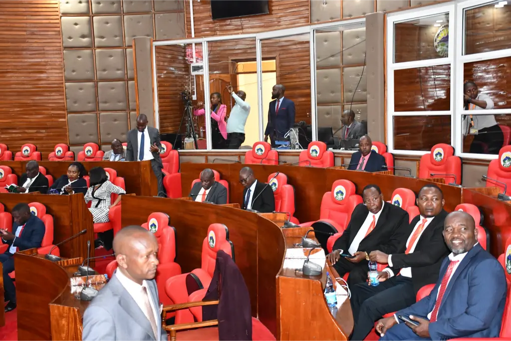 List of All Meru County MCAs (Elected and Nominated)
